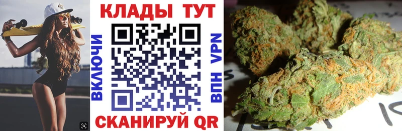 Виды наркоты Багратионовск ГАШ Alpha PVP Псилоцибиновые грибы АМФЕТАМИН МАРИХУАНА Меф