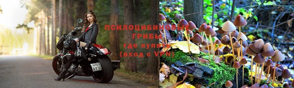 кокаин премиум Алексеевка