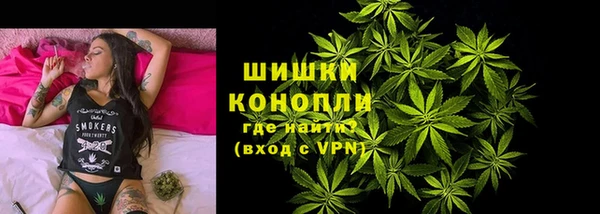шишки Алзамай
